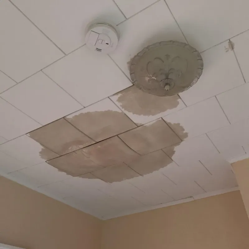 Ceiling Water Damage Repair in Tellico Village, TN