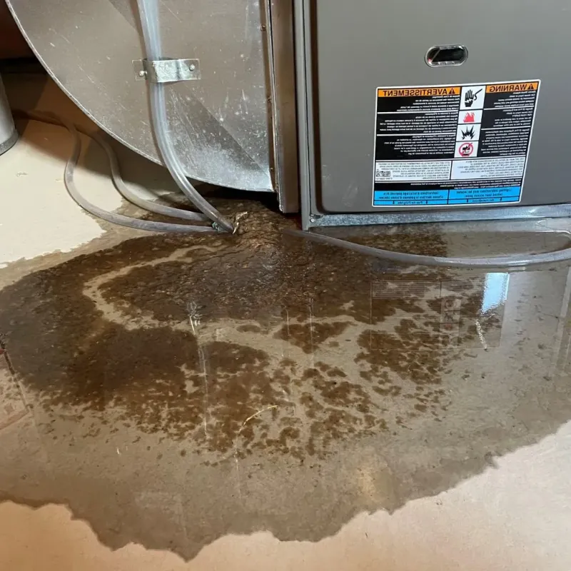Pipe Burst and Leak Restoration in Tellico Village, TN