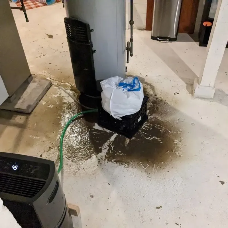 Sewage Backup Cleanup Service in Tellico Village, TN